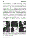 Spectroscopy of Pharmaceutical Solids