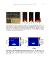 Plasmonic Nanoguides and Circuits