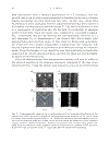 Plasmonic Nanoguides and Circuits