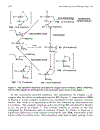 Computational Modeling of Homogeneous Catalysis