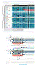 Molecular Biology of the Gene 5th Edition