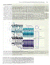 Molecular Biology of the Gene 5th Edition