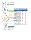 Molecular Biology of the Gene 5th Edition