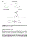 Plastics Additives