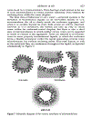 Plastics Additives