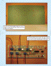 Electronics Projects For Dummies