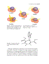 Quantum Medicinal Chemistry 1st Edition