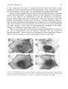 Biomedical Polymers and Polymer Therapeutics