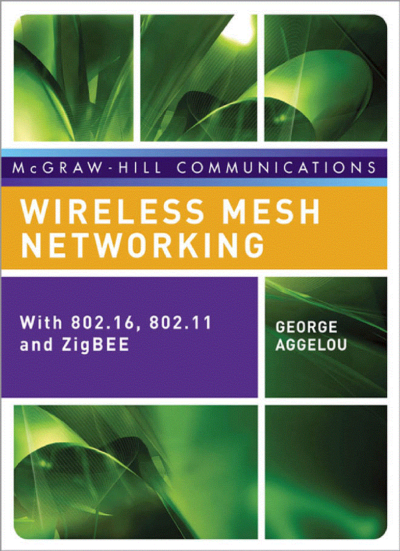 Professional Wireless Mesh Networking Aug 2008