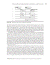 Professional Wireless Mesh Networking Aug 2008