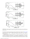 Handbook of Solid State Electrochemistry