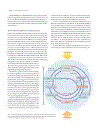 Life The Science of Biology