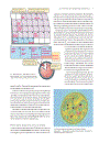 Life The Science of Biology