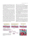 Life The Science of Biology