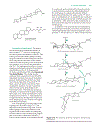 Biochemistry 2 Volume Set 2nd Edition