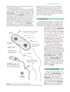 Biochemistry 2 Volume Set 2nd Edition