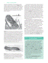 Biochemistry 2 Volume Set 2nd Edition