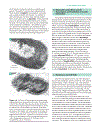 Biochemistry 2 Volume Set 2nd Edition