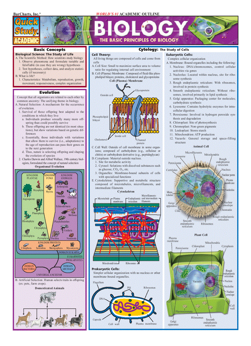 Biology Quickstudy Reference Guides