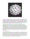 Encyclopedia of Molecular Biology