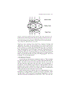 Artificial Intelligence and Molecular Biology