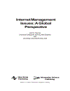 Internet Management Issues A Global Perspective