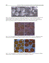 Advanced Topics in Environmental Health and Air Pollution Case Studies