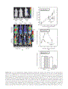 Biomedical Information Technology