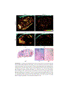 Biomedical Information Technology