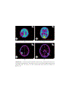 Biomedical Information Technology