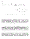 Cyclic Polymers 2nd Edition