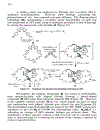 Cyclic Polymers 2nd Edition