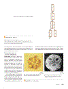 Biology 1