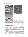 Electrochemistry of Silicon