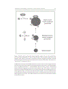 The Biogenesis of Cellular Organelles