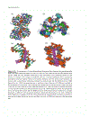 Bioinformatics 2nd Edition