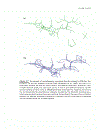 Bioinformatics 2nd Edition