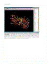 Bioinformatics 2nd Edition