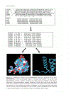 Bioinformatics 2nd Edition