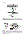 Bioinformatics 2nd Edition