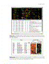 Bioinformatics 2nd Edition