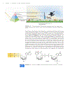 Biochemistry