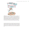 Biochemistry