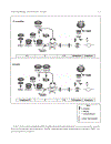 Cell Cycle Control