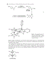 Modern Rhodium Catalyzed Organic Reactions
