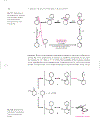 Advanced Organic Chemistry Reaction Mechanisms