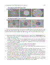 Basic Cell Culture Protocols 3rd Edition