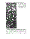 Synthetic Metal Containing Polymers