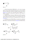 Drug Discovery Strategies and Methods