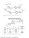 Drug Discovery Strategies and Methods